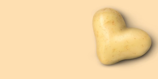 Image of Heart shaped potato on beige background, top view. Banner design with space for text
