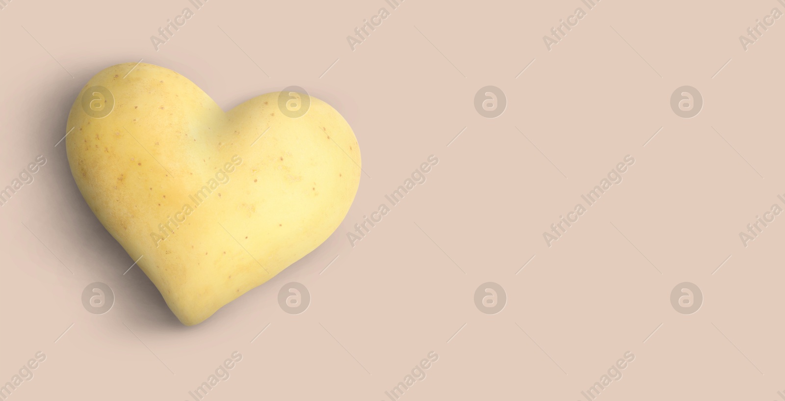 Heart shaped potato on dusty pink background, top view. Banner design with space for text Image of Heart shaped potato on dusty pink background, top view. Banner design with space for text