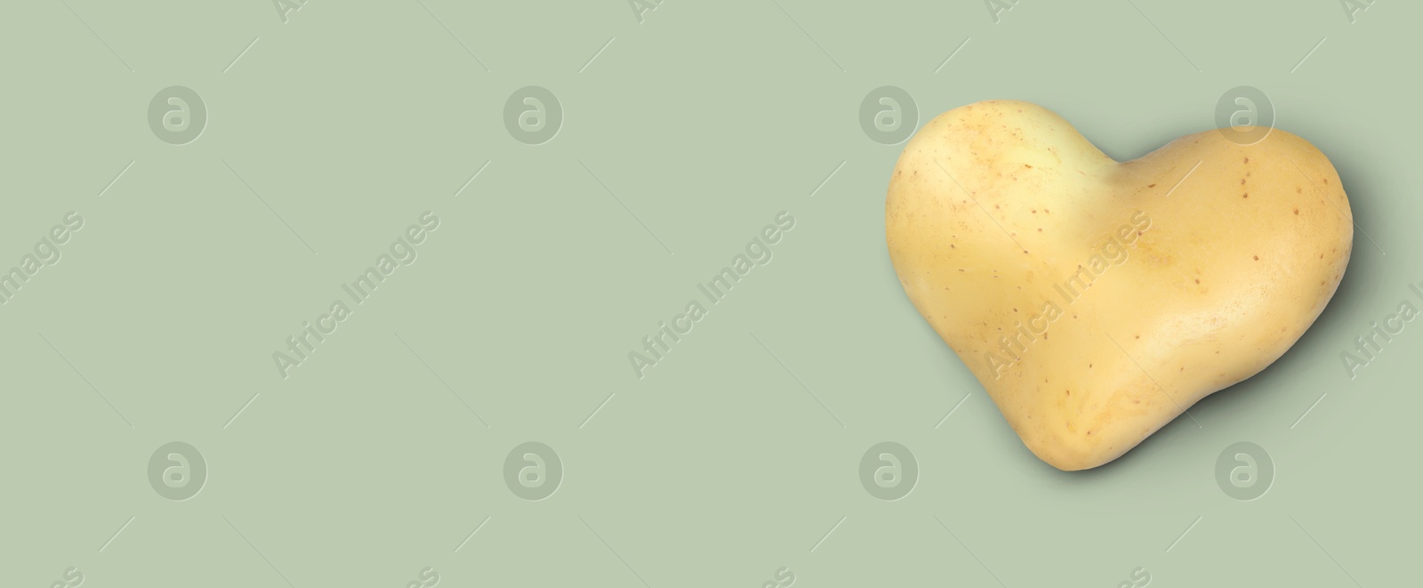 Image of Heart shaped potato on grey background, top view. Banner design with space for text