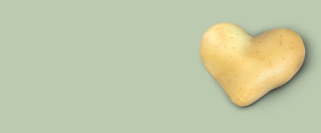 Image of Heart shaped potato on grey background, top view. Banner design with space for text