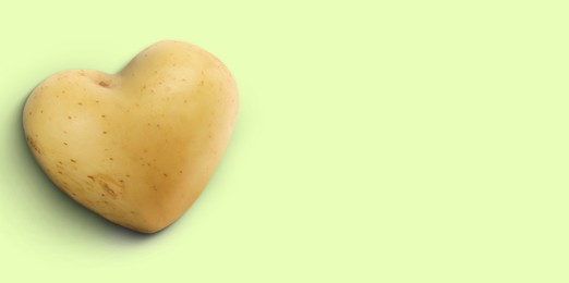 Image of Heart shaped potato on pale light green background, top view. Banner design with space for text