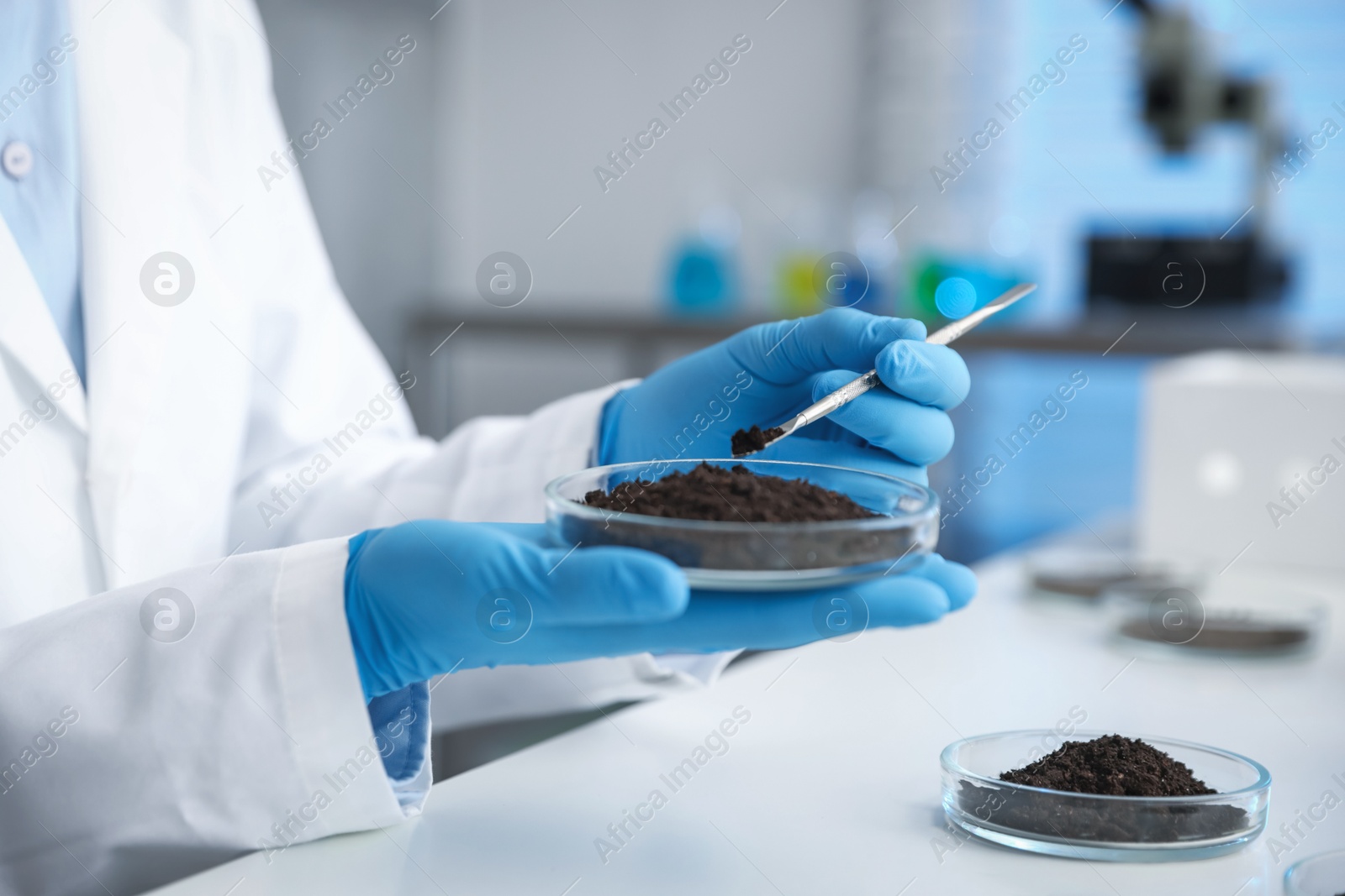 Scientist taking soil sample for research at white table in laboratory, closeup Photo of Scientist taking soil sample for research at white table in laboratory, closeup