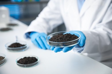 Photo of Scientist holding Petri dish with soil sample at white table indoors, closeup