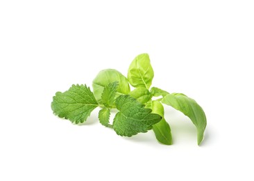 Photo of Different fresh green herbs isolated on white