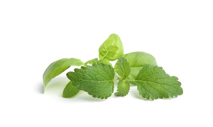 Photo of Different fresh green herbs isolated on white