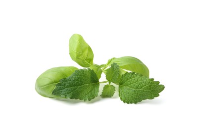 Photo of Different fresh green herbs isolated on white
