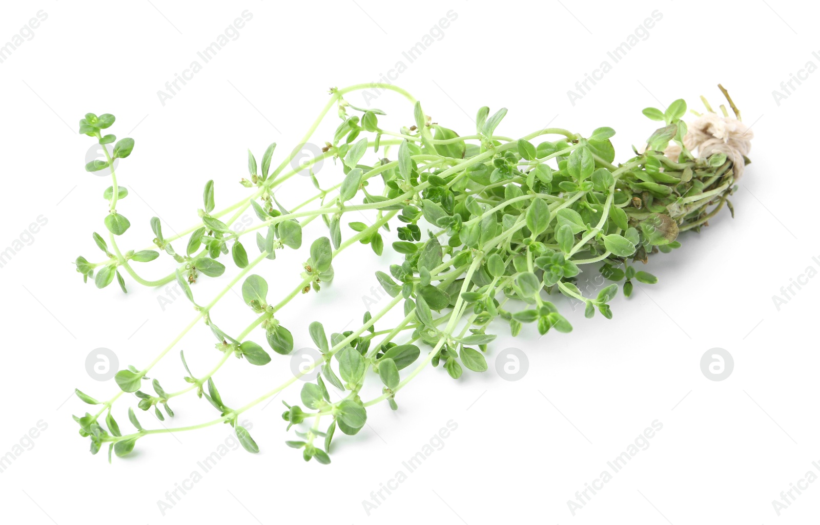 Photo of Twigs of fresh green thyme isolated on white