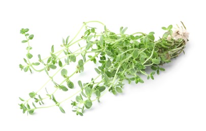 Photo of Twigs of fresh green thyme isolated on white