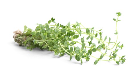 Photo of Twigs of fresh green thyme isolated on white