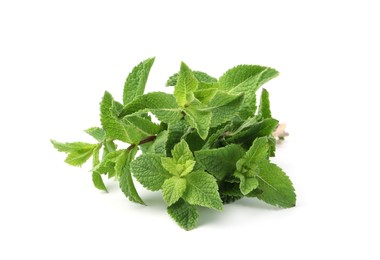 Photo of Twigs of fresh green mint isolated on white