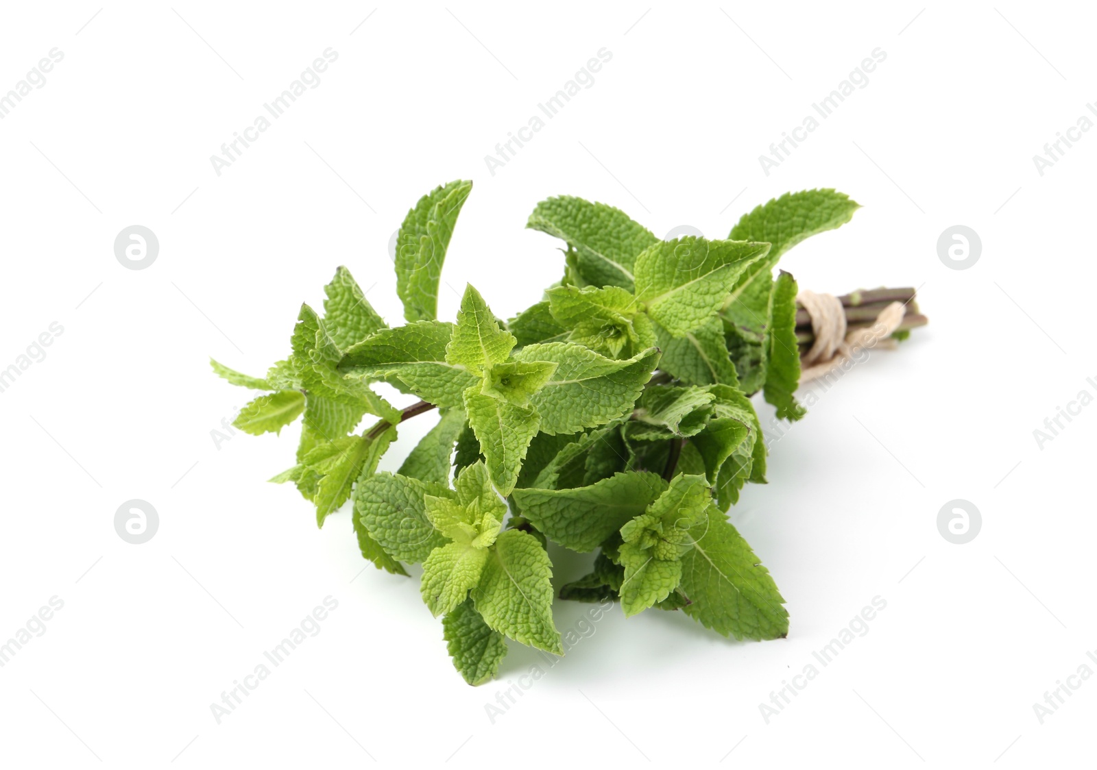 Photo of Twigs of fresh green mint isolated on white