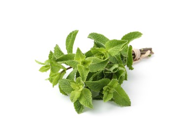 Photo of Twigs of fresh green mint isolated on white