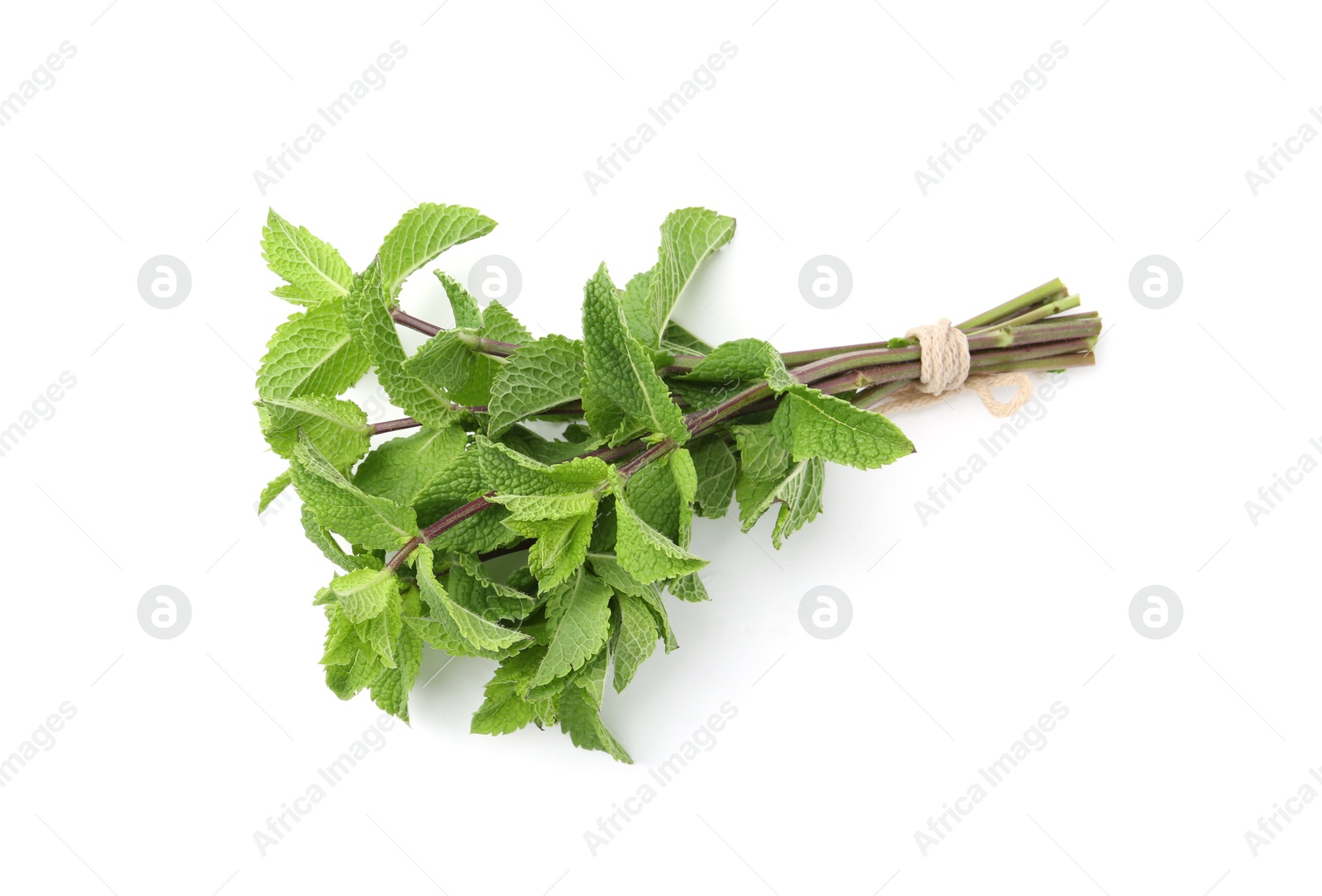 Photo of Twigs of fresh green mint isolated on white, top view