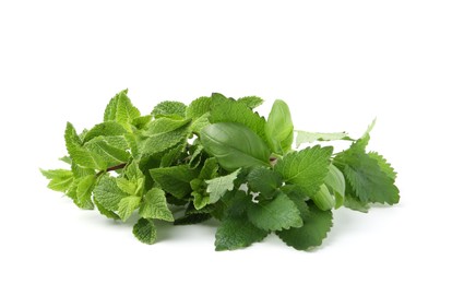 Photo of Different fresh green herbs isolated on white