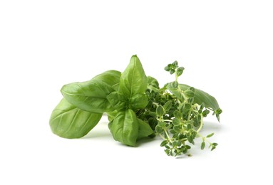 Photo of Different fresh green herbs isolated on white