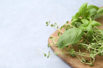 Photo of Different fresh green herbs on light grey table, closeup. Space for text