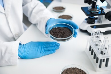 Photo of Scientist holding Petri dish with soil sample at white table indoors, closeup