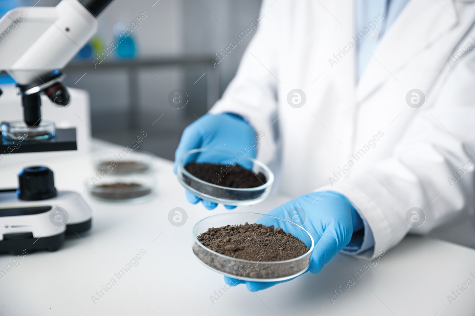Photo of Scientist holding Petri dishes with soil samples at white table indoors, closeup