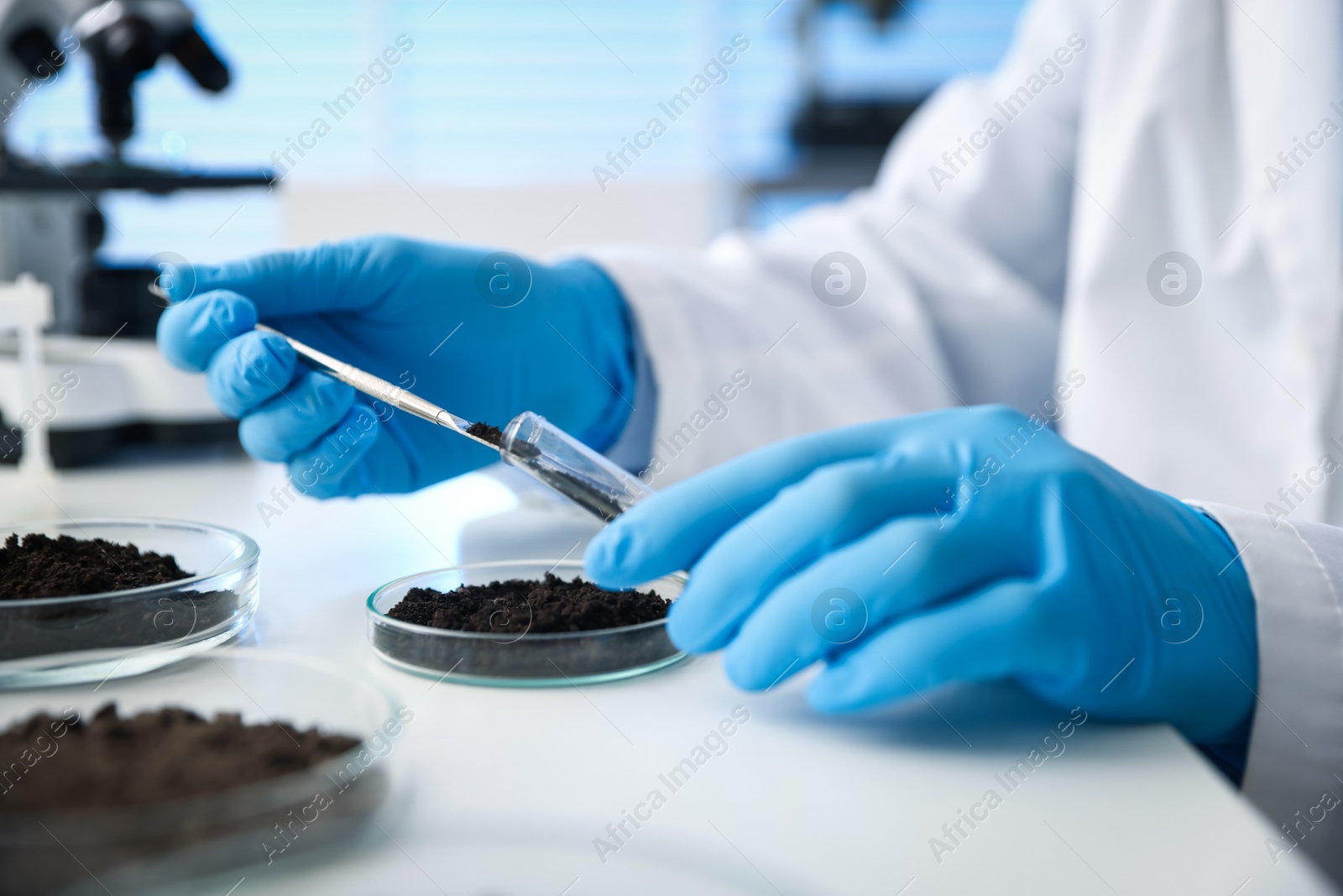 Photo of Scientist taking soil sample for research at white table in laboratory, closeup
