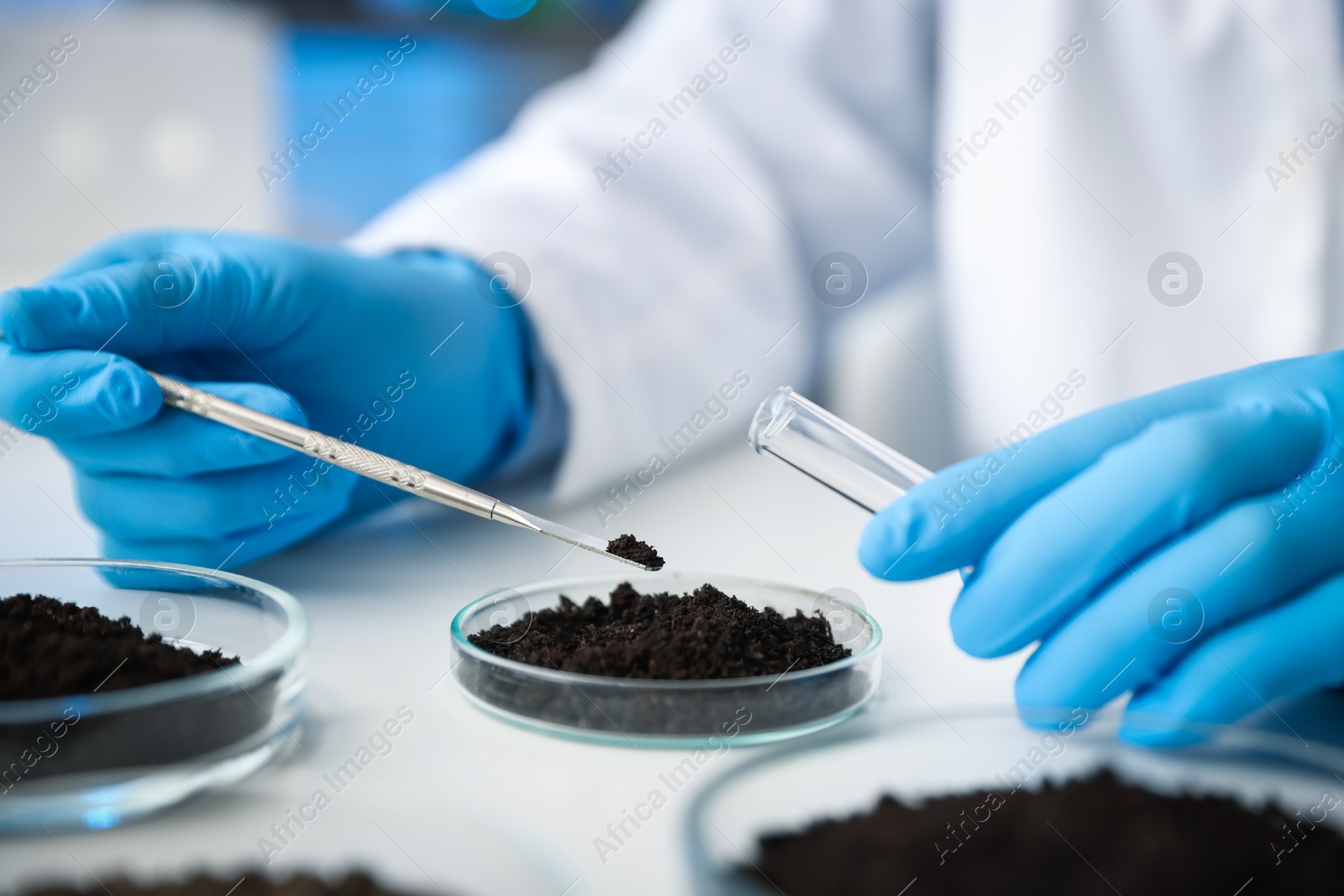Scientist taking soil sample for research at white table in laboratory, closeup Photo of Scientist taking soil sample for research at white table in laboratory, closeup