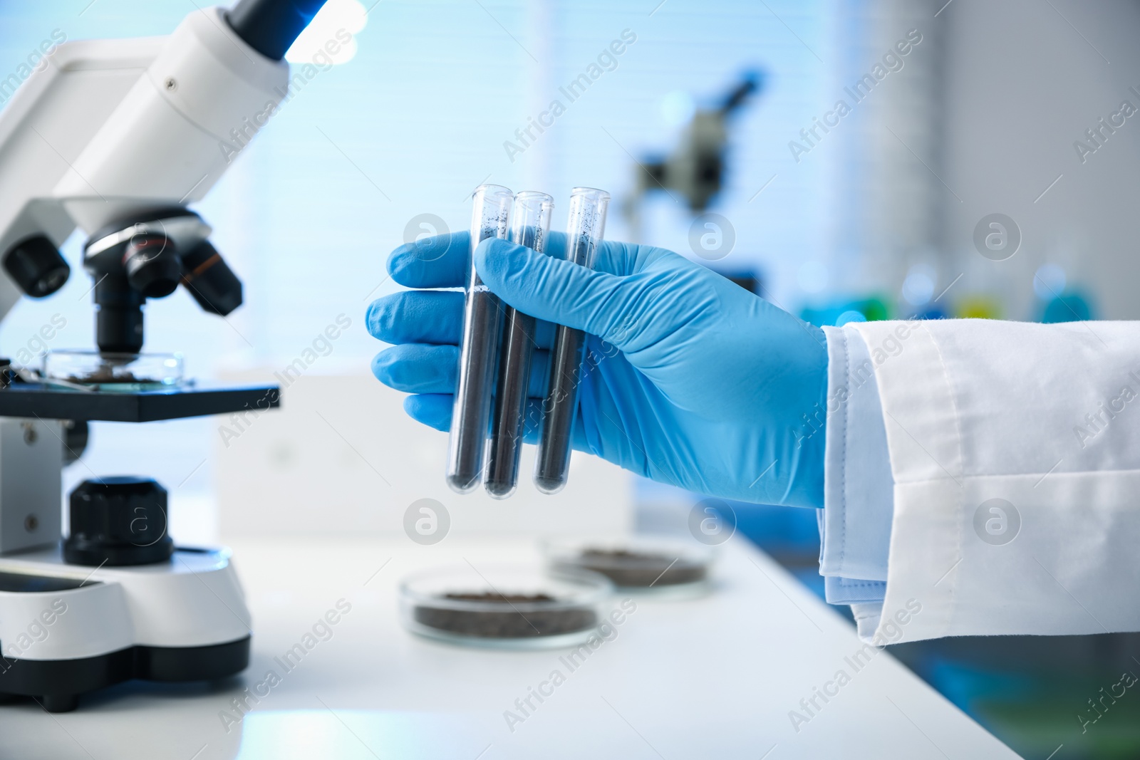 Scientist with test tubes of soil samples at white table in laboratory, closeup Photo of Scientist with test tubes of soil samples at white table in laboratory, closeup