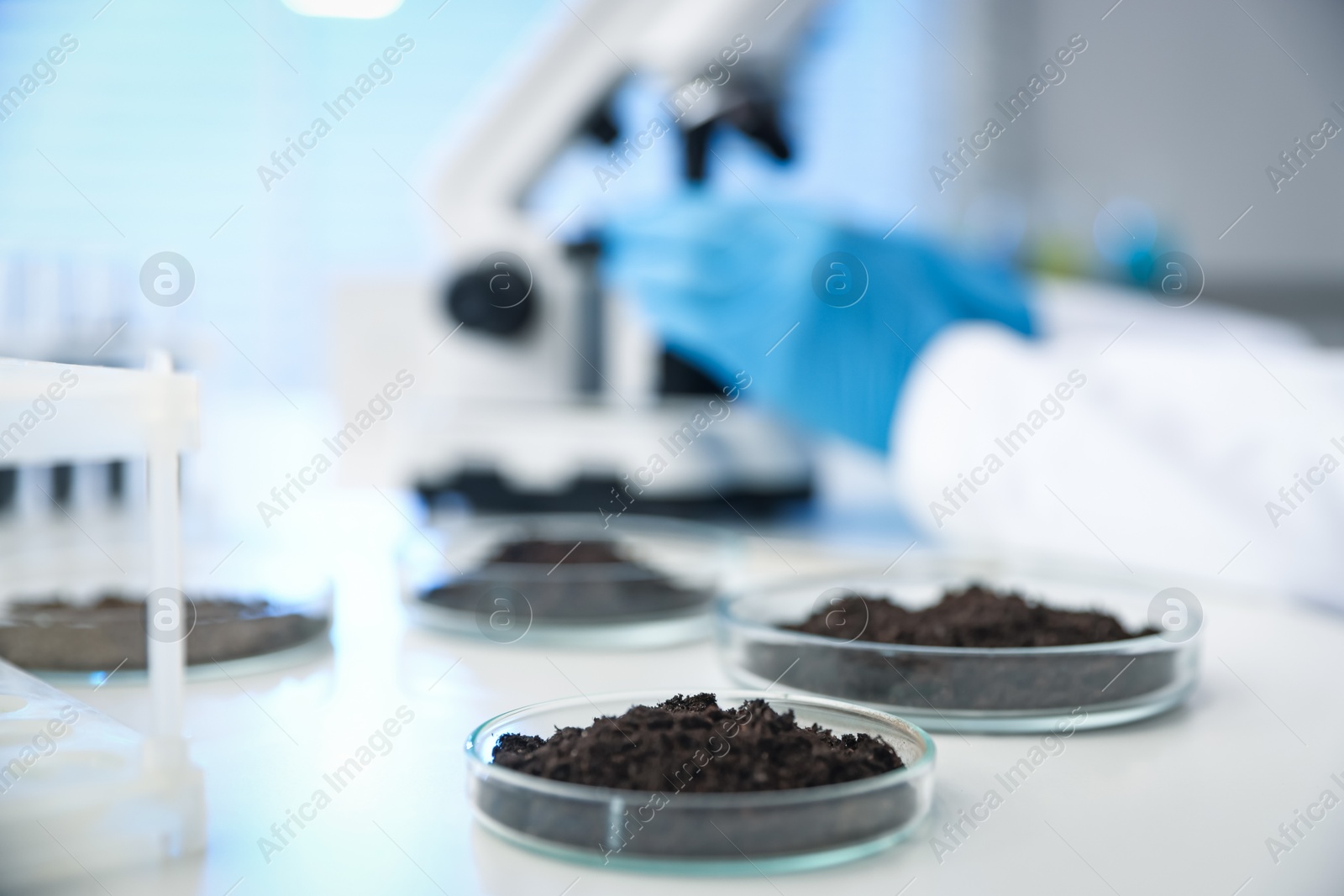Photo of Scientist working at white table in laboratory, focus on Petri dishes with soil samples