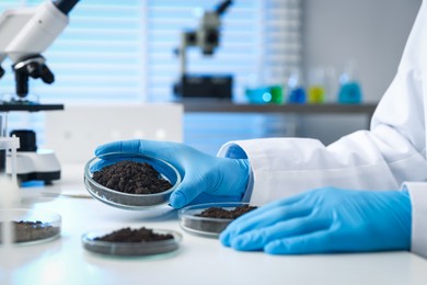 Photo of Scientist holding Petri dish with soil sample at white table indoors, closeup