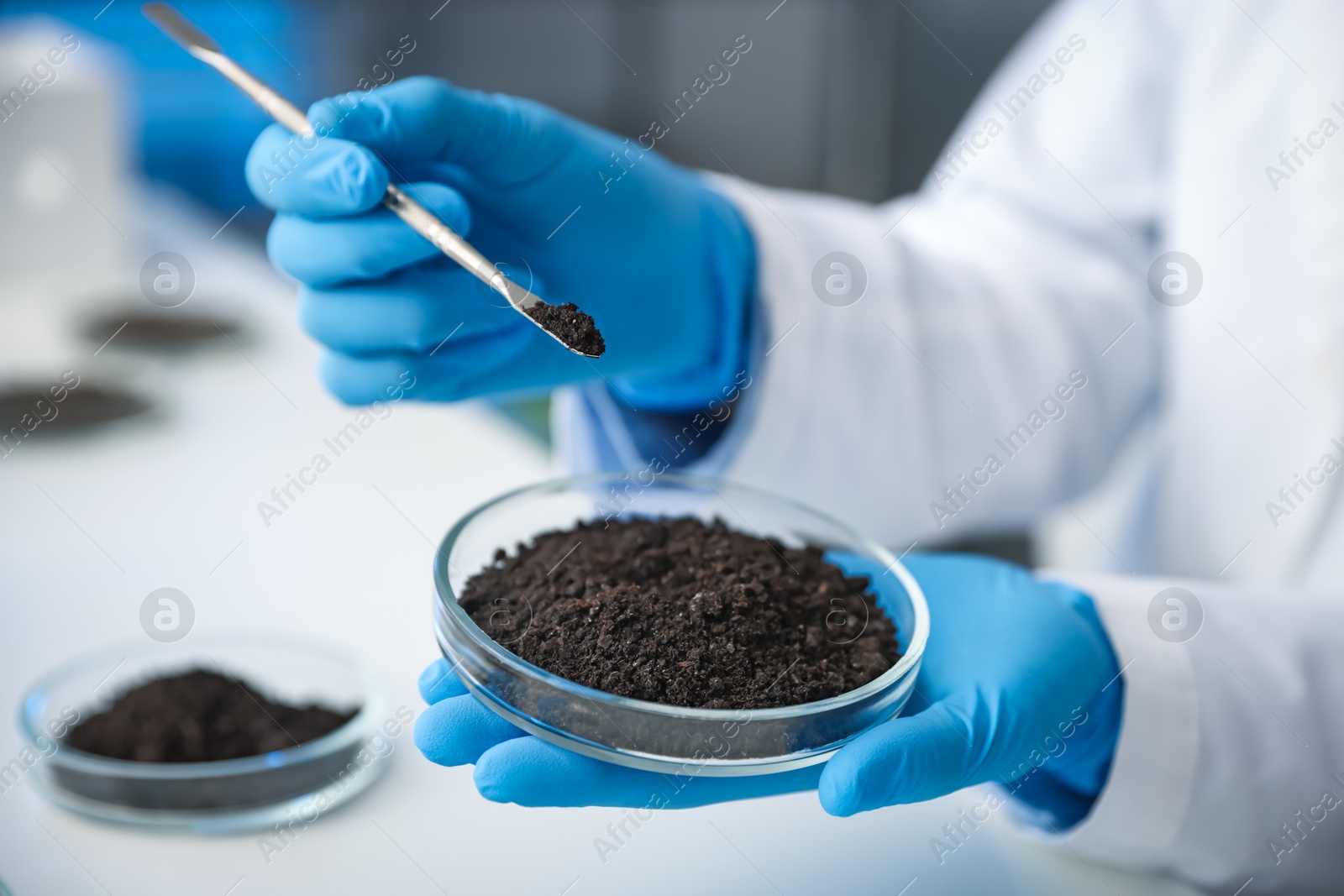 Scientist taking soil sample for research at white table in laboratory, closeup Photo of Scientist taking soil sample for research at white table in laboratory, closeup