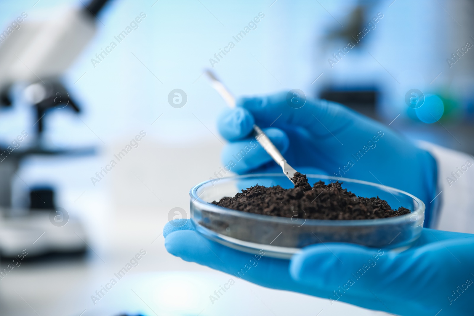 Scientist taking soil sample for research at white table in laboratory, closeup Photo of Scientist taking soil sample for research at white table in laboratory, closeup
