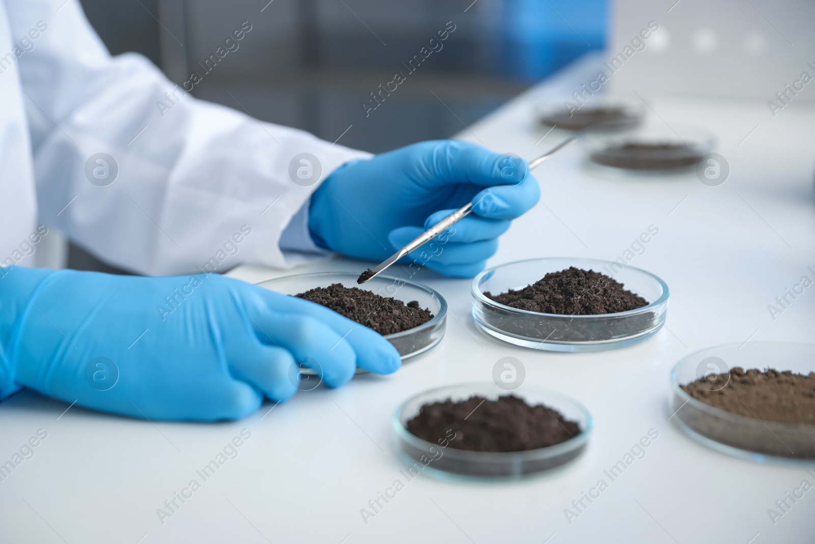 Photo of Scientist taking soil sample for research at white table in laboratory, closeup