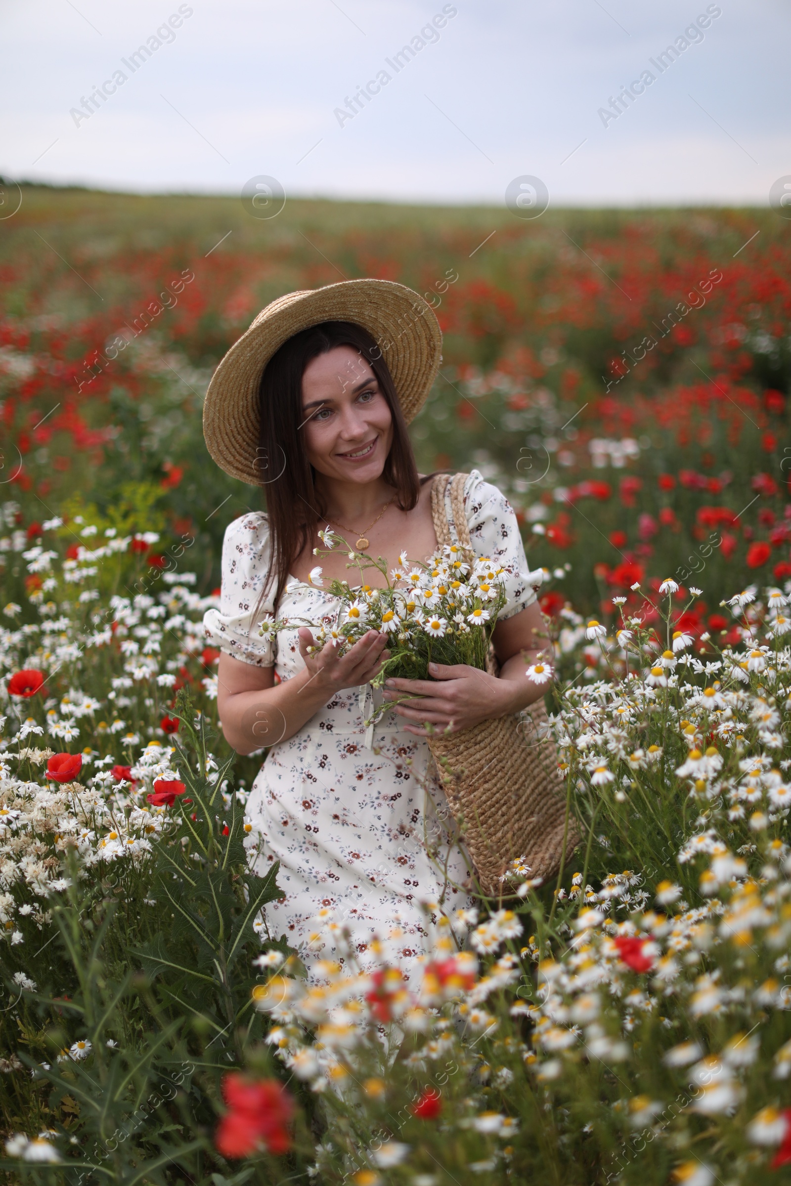 Smiling woman in hat with bag of chamomile flowers walking in wildflower meadow Photo of Smiling woman in hat with bag of chamomile flowers walking in wildflower meadow