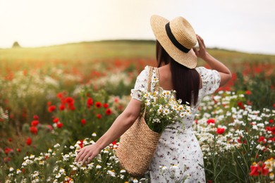 Photo of Woman in hat with bag of chamomile flowers in wildflower meadow, back view