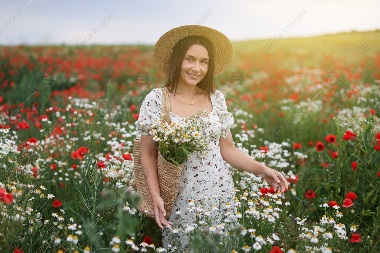 Smiling woman in hat with bag of chamomile flowers in wildflower meadow Photo of Smiling woman in hat with bag of chamomile flowers in wildflower meadow