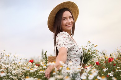 Photo of Smiling woman in hat with bag touching chamomile flowers in wildflower meadow
