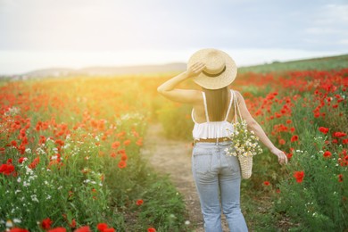 Photo of Woman in hat with bag of chamomile flowers in wildflower meadow, back view