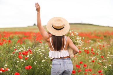 Photo of Woman in hat with bag of chamomile flowers in wildflower meadow, back view