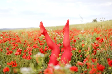 Photo of Woman in red tights among poppy flowers in wildflower meadow, closeup