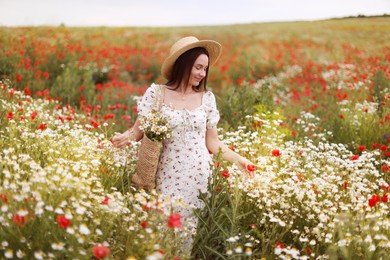 Photo of Beautiful woman in hat with bag of chamomile flowers walking in wildflower meadow