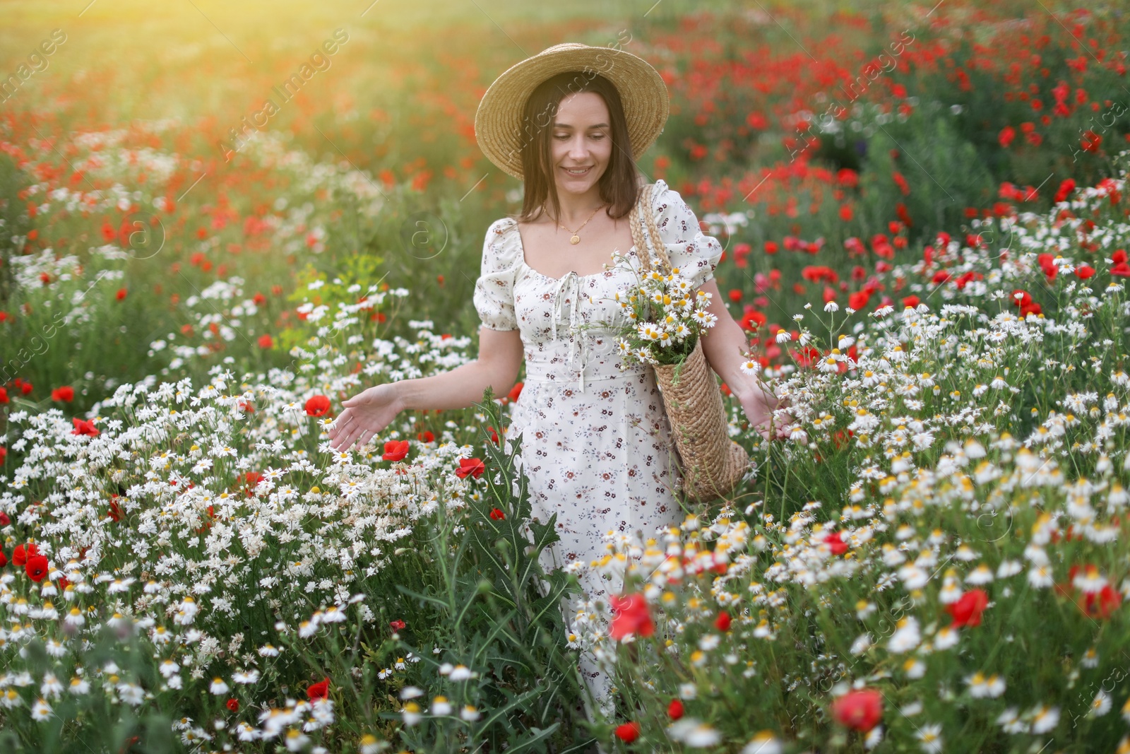 Smiling woman in hat with bag of chamomile flowers walking in wildflower meadow Photo of Smiling woman in hat with bag of chamomile flowers walking in wildflower meadow