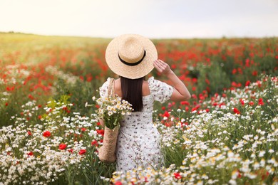 Photo of Woman in hat with bag of chamomile flowers in wildflower meadow, back view