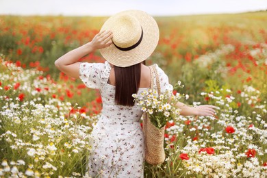 Photo of Woman in hat with bag of chamomile flowers in wildflower meadow, back view