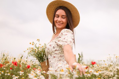 Photo of Smiling woman in hat with bag touching chamomile flowers in wildflower meadow