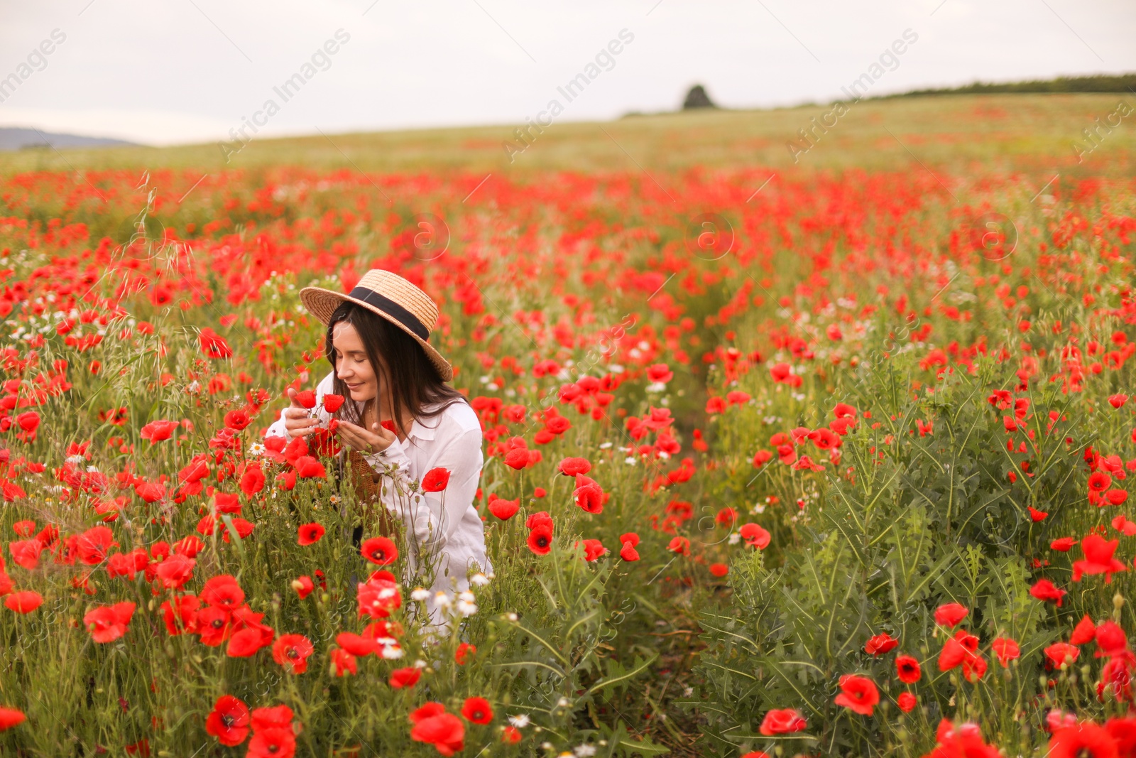 Photo of Beautiful woman in hat sniffing red poppy flowers in wildflower meadow