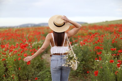 Photo of Woman in hat with bag of chamomile flowers in wildflower meadow, back view
