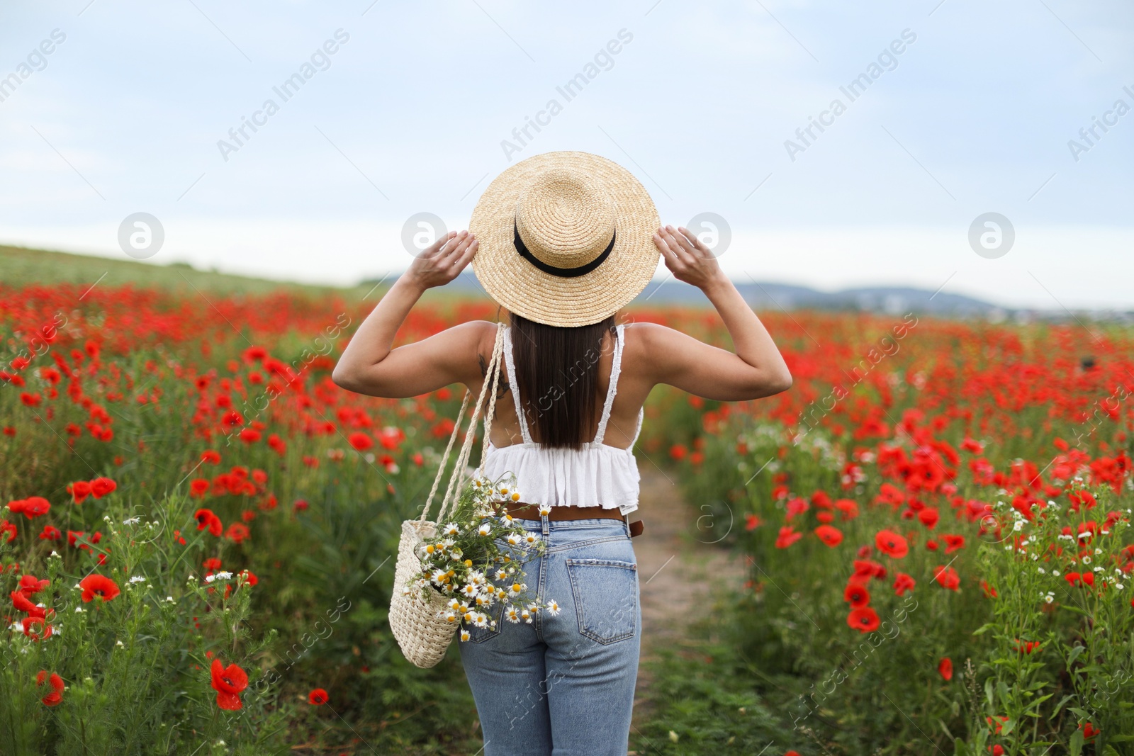 Woman in hat with bag of chamomile flowers in wildflower meadow, back view Photo of Woman in hat with bag of chamomile flowers in wildflower meadow, back view