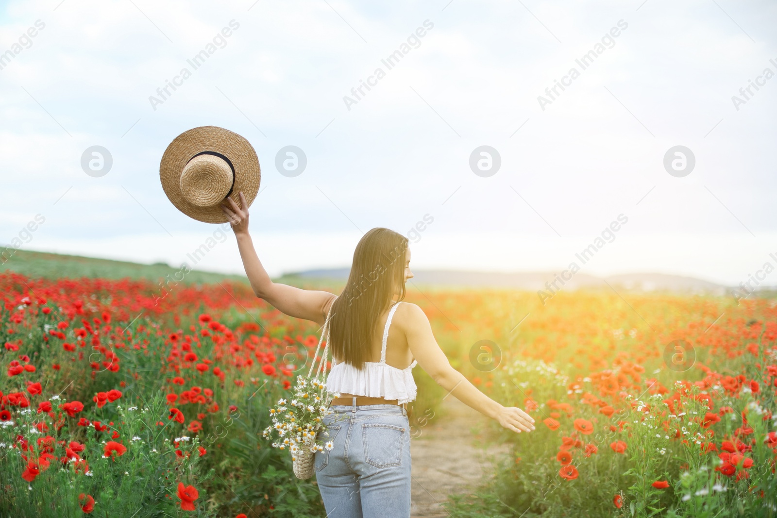 Photo of Woman with hat and bag of chamomile flowers in morning wildflower meadow