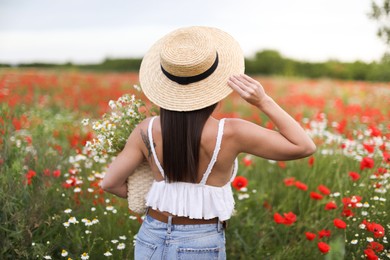 Photo of Woman in hat with bag of chamomile flowers in wildflower meadow, back view