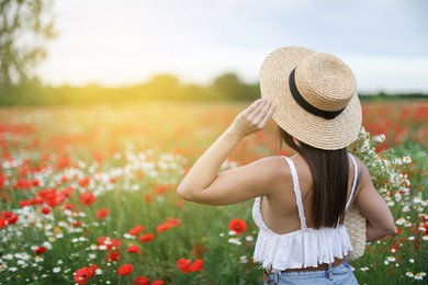 Photo of Woman in hat with bag of chamomile flowers in wildflower meadow, back view. Space for text