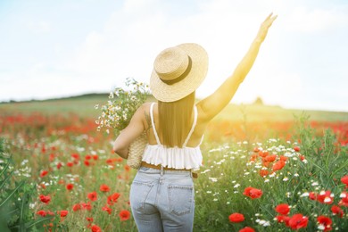 Photo of Woman wearing hat with bag of chamomile flowers in morning wildflower meadow, back view