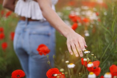 Photo of Woman touching chamomile flowers in wildflower meadow, closeup